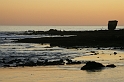 _DSC8513 (2)